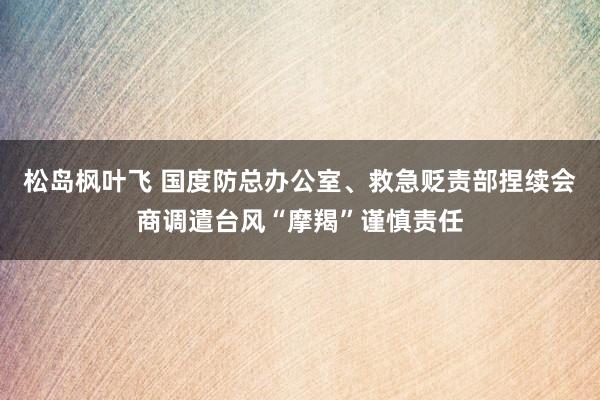 松岛枫叶飞 国度防总办公室、救急贬责部捏续会商调遣台风“摩羯”谨慎责任