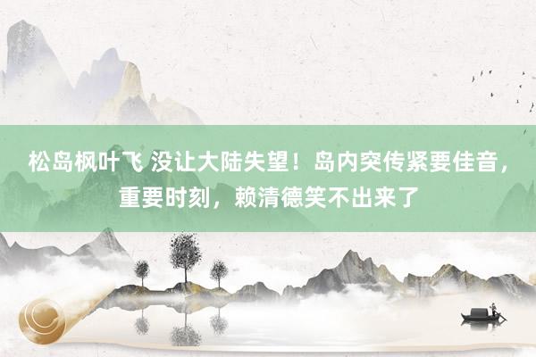 松岛枫叶飞 没让大陆失望！岛内突传紧要佳音，重要时刻，赖清德笑不出来了