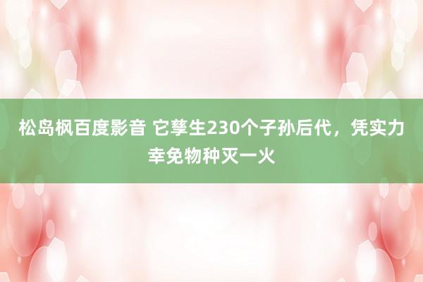 松岛枫百度影音 它孳生230个子孙后代，凭实力幸免物种灭一火