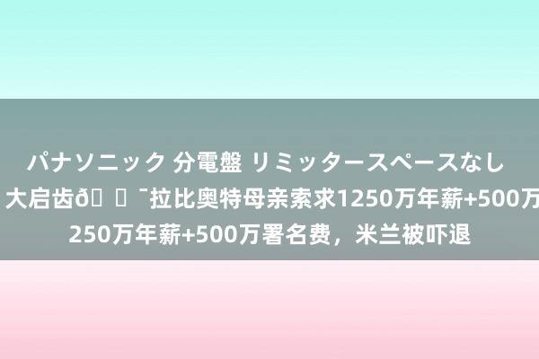 パナソニック 分電盤 リミッタースペースなし 露出・半埋込両用形 大启齿😯拉比奥特母亲索求1250万年薪+500万署名费，米兰被吓退