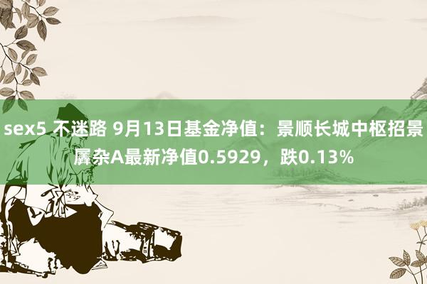 sex5 不迷路 9月13日基金净值：景顺长城中枢招景羼杂A最新净值0.5929，跌0.13%