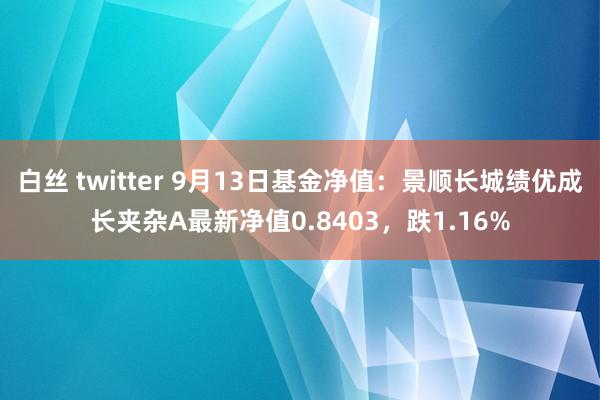 白丝 twitter 9月13日基金净值：景顺长城绩优成长夹杂A最新净值0.8403，跌1.16%