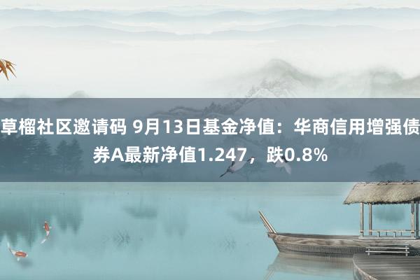 草榴社区邀请码 9月13日基金净值：华商信用增强债券A最新净值1.247，跌0.8%