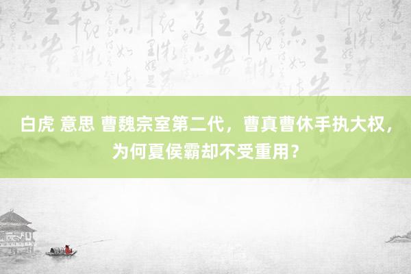 白虎 意思 曹魏宗室第二代，曹真曹休手执大权，为何夏侯霸却不受重用？