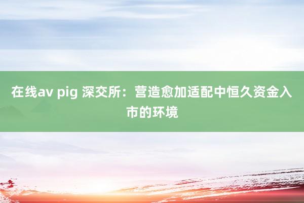 在线av pig 深交所：营造愈加适配中恒久资金入市的环境