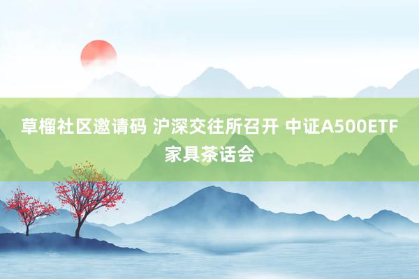 草榴社区邀请码 沪深交往所召开 中证A500ETF家具茶话会