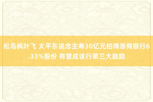 松岛枫叶飞 太平东说念主寿30亿元拍得浙商银行6.33%股份 有望成该行第三大鼓励