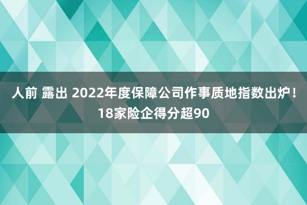 人前 露出 2022年度保障公司作事质地指数出炉！18家险企得分超90