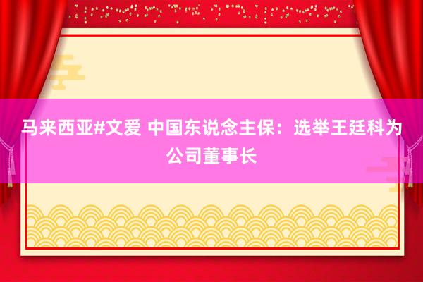 马来西亚#文爱 中国东说念主保：选举王廷科为公司董事长