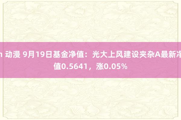 h 动漫 9月19日基金净值：光大上风建设夹杂A最新净值0.5641，涨0.05%