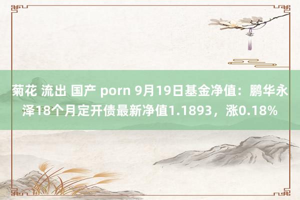 菊花 流出 国产 porn 9月19日基金净值：鹏华永泽18个月定开债最新净值1.1893，涨0.18%