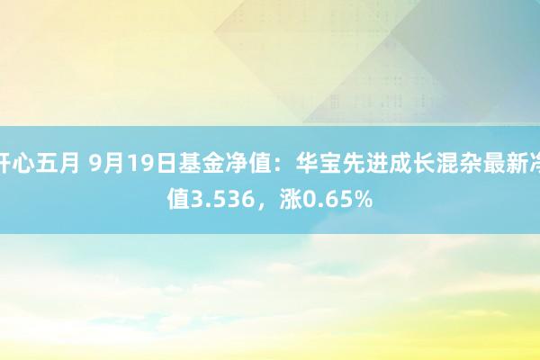 开心五月 9月19日基金净值：华宝先进成长混杂最新净值3.536，涨0.65%