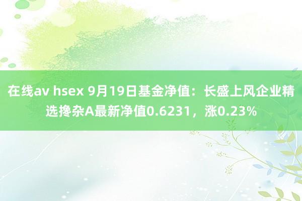 在线av hsex 9月19日基金净值：长盛上风企业精选搀杂A最新净值0.6231，涨0.23%