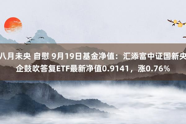 八月未央 自慰 9月19日基金净值：汇添富中证国新央企鼓吹答复ETF最新净值0.9141，涨0.76%