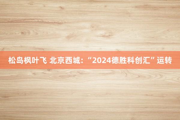 松岛枫叶飞 北京西城: “2024德胜科创汇”运转