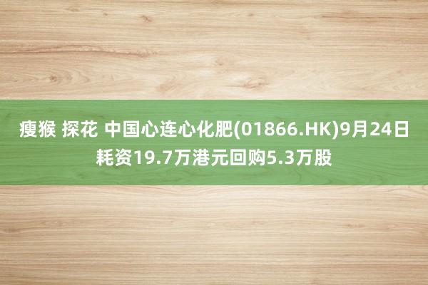 瘦猴 探花 中国心连心化肥(01866.HK)9月24日耗资19.7万港元回购5.3万股