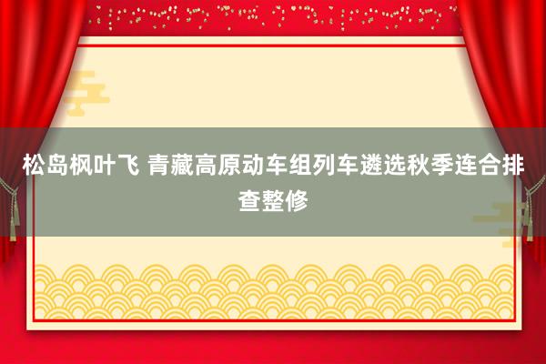 松岛枫叶飞 青藏高原动车组列车遴选秋季连合排查整修