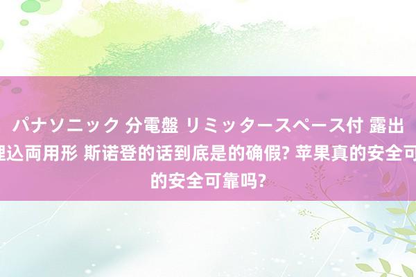 パナソニック 分電盤 リミッタースペース付 露出・半埋込両用形 斯诺登的话到底是的确假? 苹果真的安全可靠吗?