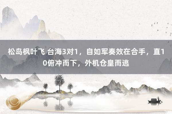 松岛枫叶飞 台海3对1，自如军奏效在合手，直10俯冲而下，外机仓皇而逃