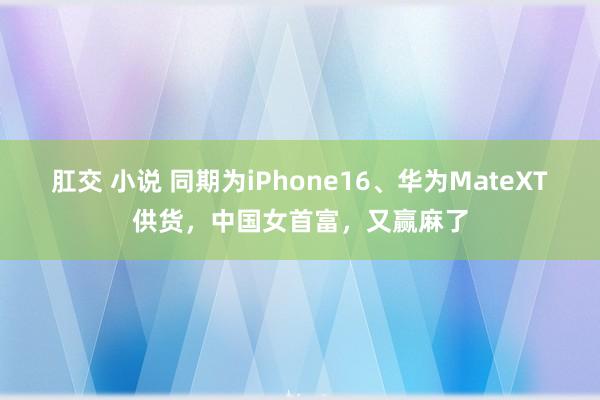 肛交 小说 同期为iPhone16、华为MateXT供货，中国女首富，又赢麻了