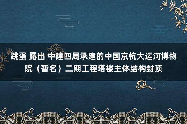 跳蛋 露出 中建四局承建的中国京杭大运河博物院（暂名）二期工程塔楼主体结构封顶