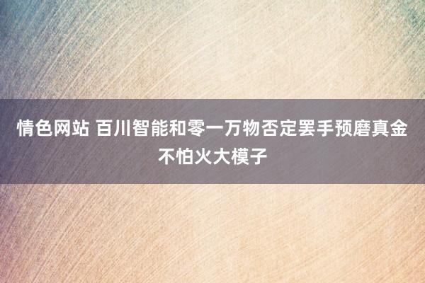 情色网站 百川智能和零一万物否定罢手预磨真金不怕火大模子