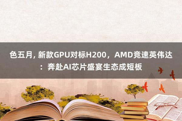 色五月， 新款GPU对标H200，AMD竞速英伟达：奔赴AI芯片盛宴生态成短板