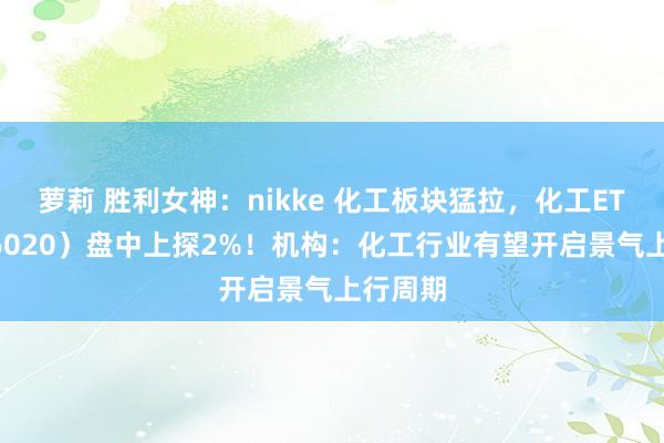 萝莉 胜利女神：nikke 化工板块猛拉，化工ETF（516020）盘中上探2%！机构：化工行业有望开启景气上行周期