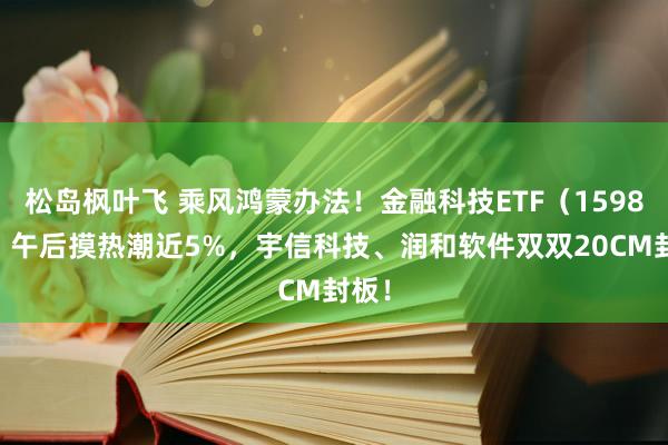 松岛枫叶飞 乘风鸿蒙办法！金融科技ETF（159851）午后摸热潮近5%，宇信科技、润和软件双双20CM封板！