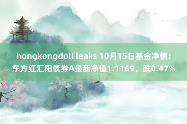 hongkongdoll leaks 10月15日基金净值：东方红汇阳债券A最新净值1.1169，跌0.47%