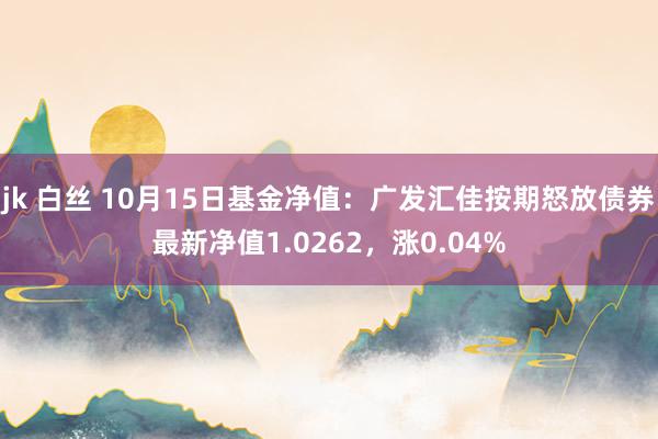 jk 白丝 10月15日基金净值：广发汇佳按期怒放债券最新净值1.0262，涨0.04%