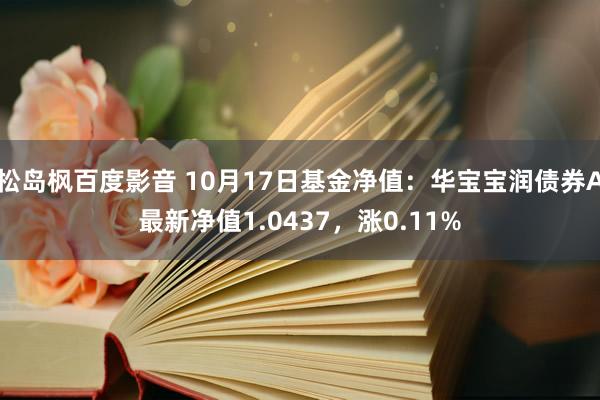 松岛枫百度影音 10月17日基金净值：华宝宝润债券A最新净值1.0437，涨0.11%