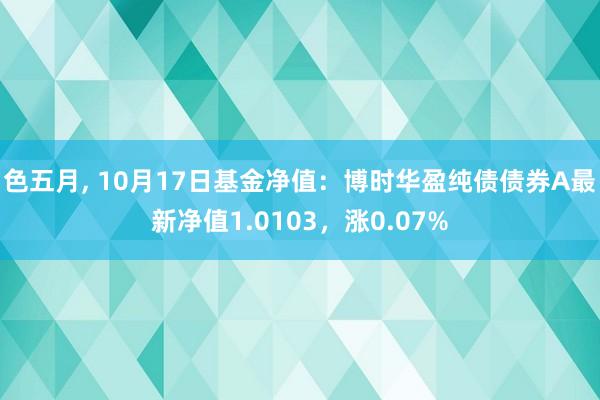 色五月， 10月17日基金净值：博时华盈纯债债券A最新净值1.0103，涨0.07%