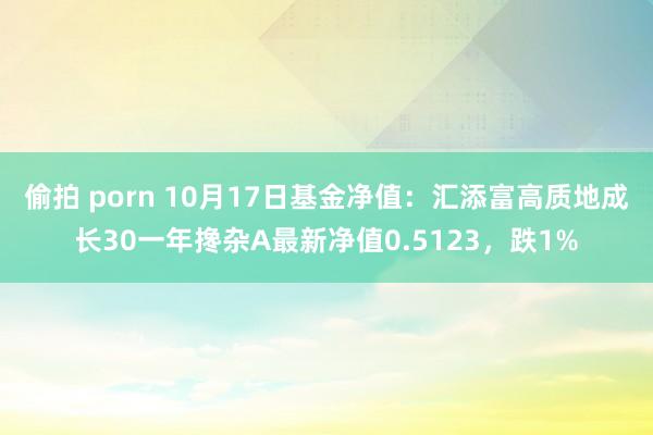 偷拍 porn 10月17日基金净值：汇添富高质地成长30一年搀杂A最新净值0.5123，跌1%