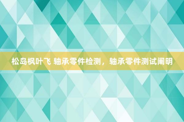 松岛枫叶飞 轴承零件检测，轴承零件测试阐明