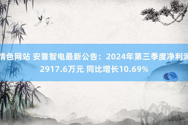 情色网站 安靠智电最新公告：2024年第三季度净利润2917.6万元 同比增长10.69%