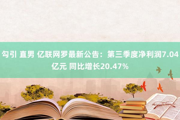 勾引 直男 亿联网罗最新公告：第三季度净利润7.04亿元 同比增长20.47%