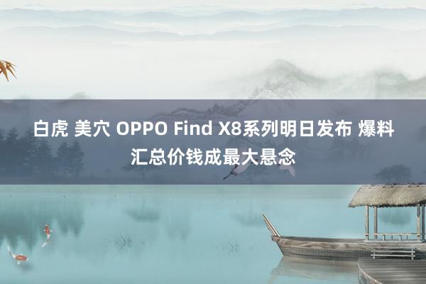 白虎 美穴 OPPO Find X8系列明日发布 爆料汇总价钱成最大悬念