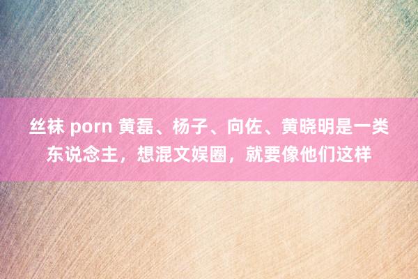 丝袜 porn 黄磊、杨子、向佐、黄晓明是一类东说念主，想混文娱圈，就要像他们这样