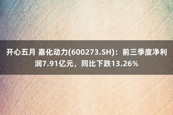 开心五月 嘉化动力(600273.SH)：前三季度净利润7.91亿元，同比下跌13.26%