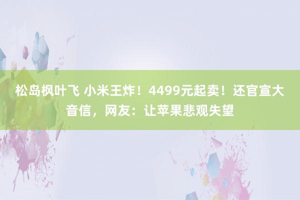 松岛枫叶飞 小米王炸！4499元起卖！还官宣大音信，网友：让苹果悲观失望