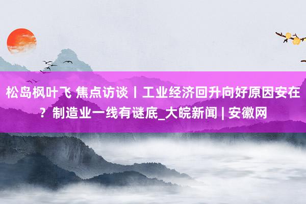 松岛枫叶飞 焦点访谈丨工业经济回升向好原因安在？制造业一线有谜底_大皖新闻 | 安徽网