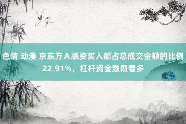 色情 动漫 京东方Ａ融资买入额占总成交金额的比例22.91%，杠杆资金激烈看多