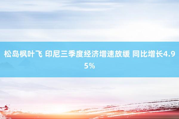 松岛枫叶飞 印尼三季度经济增速放缓 同比增长4.95%