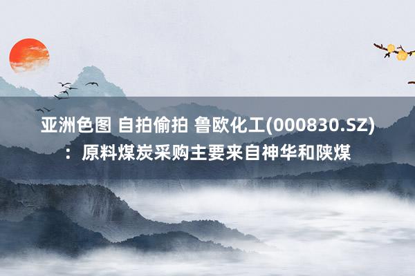 亚洲色图 自拍偷拍 鲁欧化工(000830.SZ)：原料煤炭采购主要来自神华和陕煤