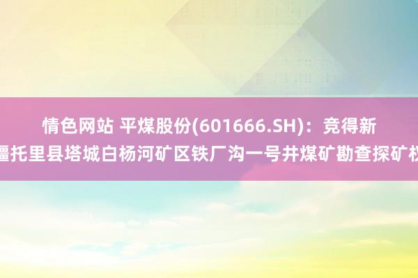 情色网站 平煤股份(601666.SH)：竞得新疆托里县塔城白杨河矿区铁厂沟一号井煤矿勘查探矿权