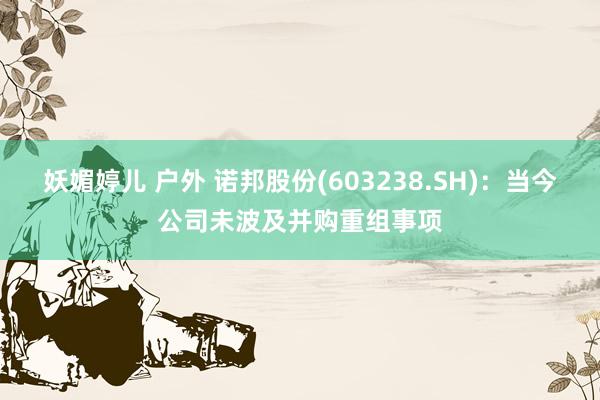 妖媚婷儿 户外 诺邦股份(603238.SH)：当今公司未波及并购重组事项