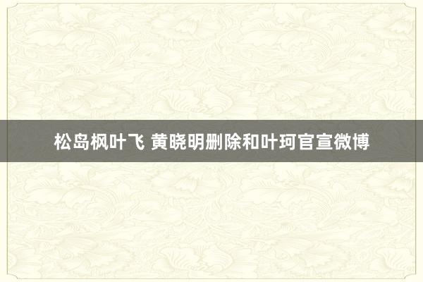 松岛枫叶飞 黄晓明删除和叶珂官宣微博