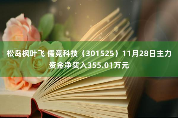 松岛枫叶飞 儒竞科技（301525）11月28日主力资金净买入355.01万元