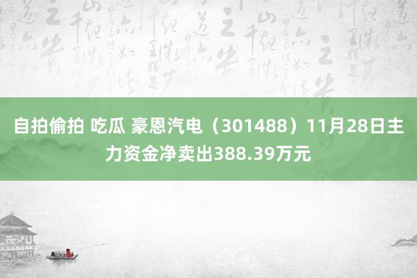 自拍偷拍 吃瓜 豪恩汽电（301488）11月28日主力资金净卖出388.39万元